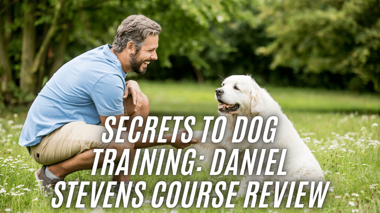 Secrets to Dog Training Daniel Stevens Course